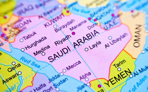 Саудовская Аравия примет виртуальный саммит G20
