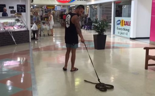 Австралиец снял видео о дружбе со змеей
