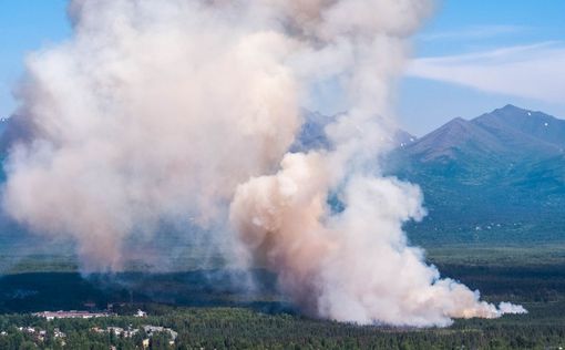 На Аляске бушуют лесные пожары, гибнут птицы