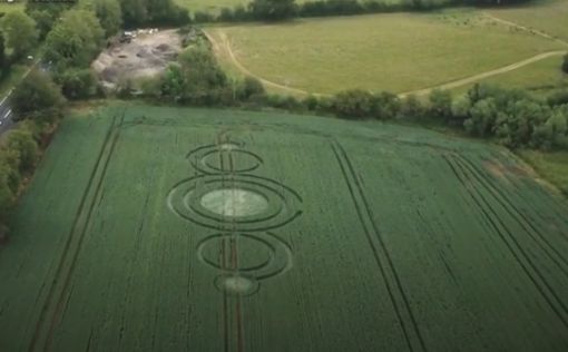 Ученые раскрыли загадку ведьминых кругов на полях