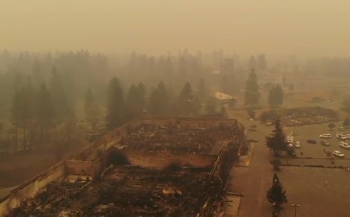 Огненная стихия в Калифорнии унесла жизни 84 человек