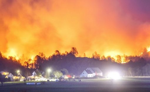 В Норвегии эвакуируют сотни человек из-за лесных пожаров