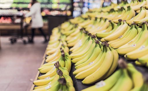 Приклеенный скотчем банан продали за $120 000
