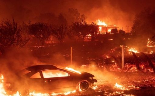 Пожары в Калифорнии: число погибших достигло 76 человек