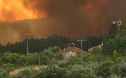 Пожар в Португалии: число жертв возросло до 43