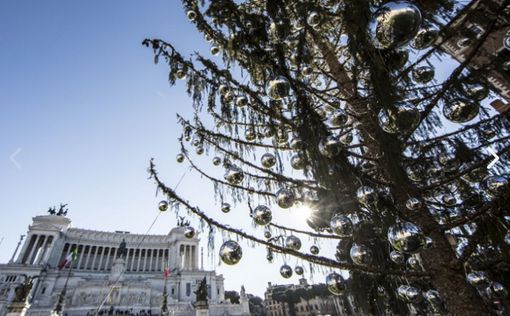 Лысая рождественская елка стала достопримечательностью Рима