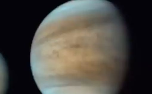 Ученые обнаружили новый признак жизни на Венере