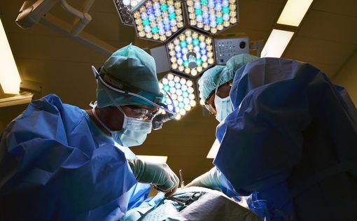 Война – не помеха: за 2023 год в больницах Киева провели 147 трансплантаций | Фото: pixabay.com