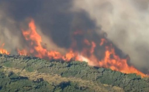 В Калифорнии вспыхнул масштабный пожар: видео