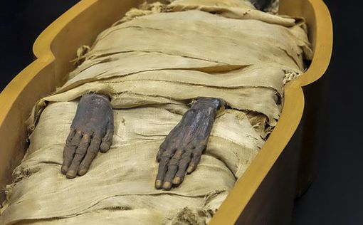 В Египте обнаружили гробницу с 50 мумиями