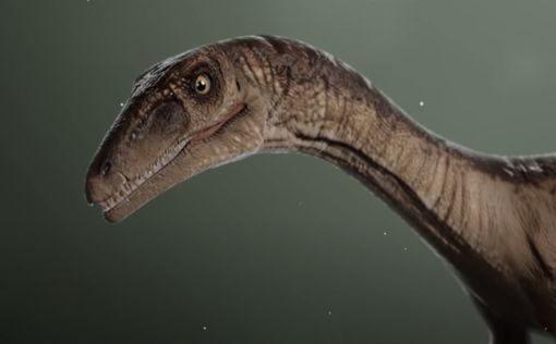 В Китае обнаружили новый вид динозавра