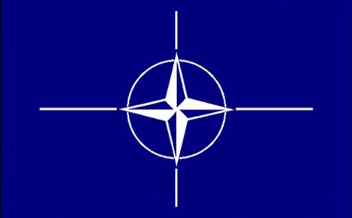 В НАТО объяснили, почему не пригласили на саммит Украину