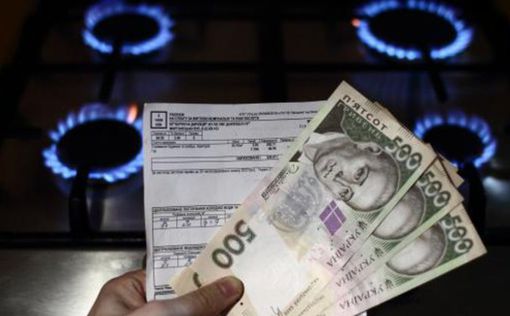 Шмыгаль пообещал не менять цену на газ для бытовых потребителей