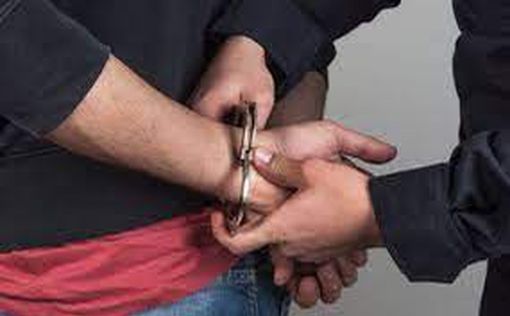 Майстри маскування: у ФРН заарештовано винахідливих злодіїв з Білорусі