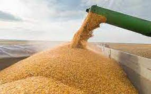 РФ вивозить українське зерно до Сирії та Ірану