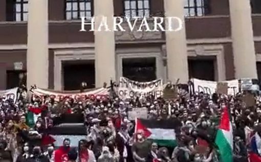 Голова Гарварду потрапила в антисемітський скандал, але швидко взяла слова назад