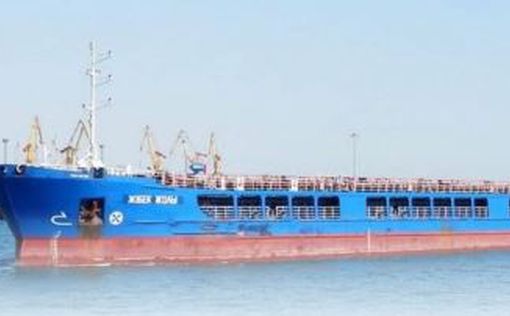 В турецкий порт вошел корабль с краденым в Бердянске зерном