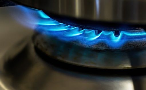 Чехия не будет платить за российский газ в рублях