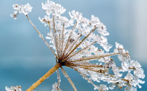 Погода на выходные: в субботу – зимние морозы, в воскресенье – весенняя оттепель | Фото: pixabay.com