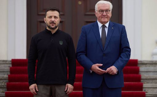 Зеленский и Штайнмайер обсудили безопасность и потребности Украины