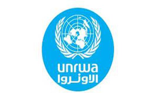 Глава UNRWA в Ливане: у нас нет "плана Б"