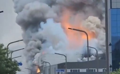 Жуткий пожар на заводе в Южной Корее: минимум два десятка жертв