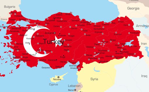 В Турции на три месяца введен режим чрезвычайного положения