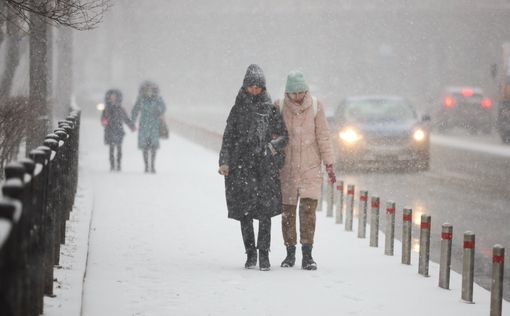 Сегодня в Украине туман и потепление, а местами - снег