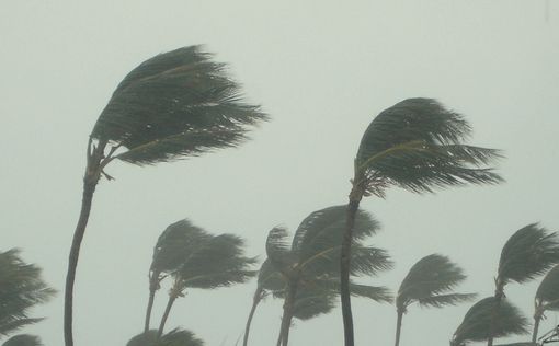 Ураган 4-ї категорії "Берил", принесе значні руйнування 1 липня