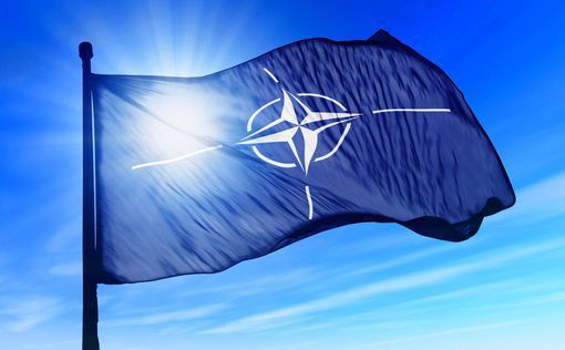 Як відреагували в НАТО на падіння російського дрона в Румунії