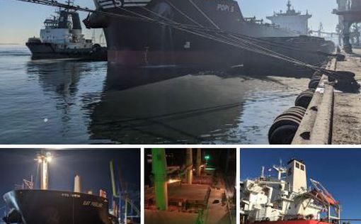 За праздничные выходные 9 судов экспортировали 432 тыс. тонн продукции