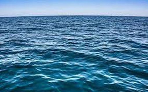 Экокатастрофа в Красном море: ООН принимает меры