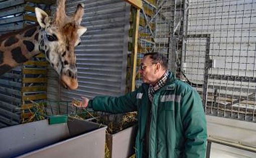 Более $635 тыс. собрано на помощь украинским зоопаркам