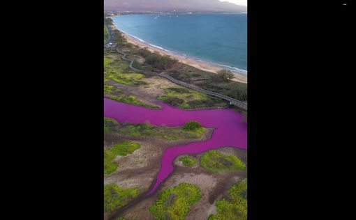 Гавайское чудо: озеро Кеалия стало розово-фиолетовым. Видео