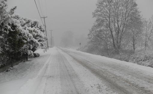 Погода 7 января: циклон Charlotte несется в Украину – будет снежить и штормить | Фото: pixabay.com