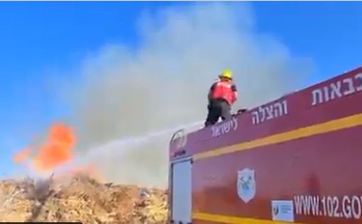 Огненный террор: в Израиле вспыхнули десятки пожаров