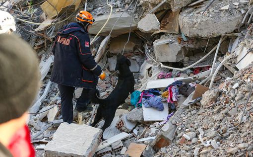 Посольство разыскало шестерых украинцев, пропавших после землетрясения в Турции
