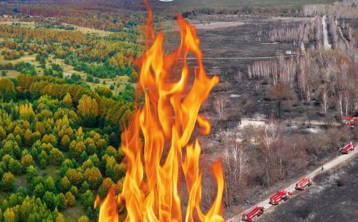 Киевлян предупредили о чрезвычайном уровне пожарной опасности