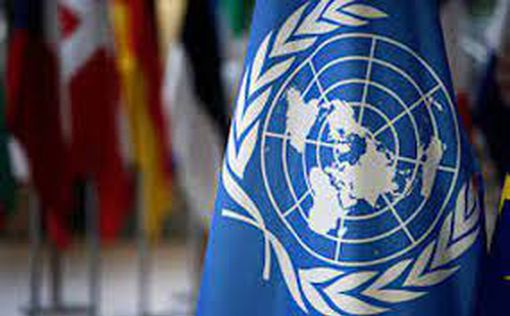 СПЛ ООН вимагає збройового ембарго для Ізраїлю