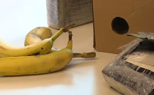 Полиция Италии нашла кокаин на $ 800 млн в ящиках с бананами