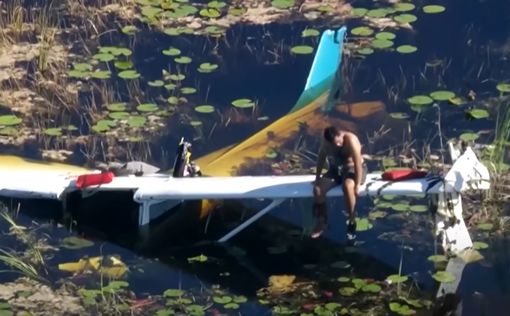 Літак упав у болото з алігаторами | Фото: скришнот