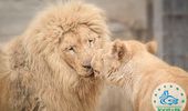 В Одесском зоопарке выбрали пару года. Фоторепортаж | Фото 1