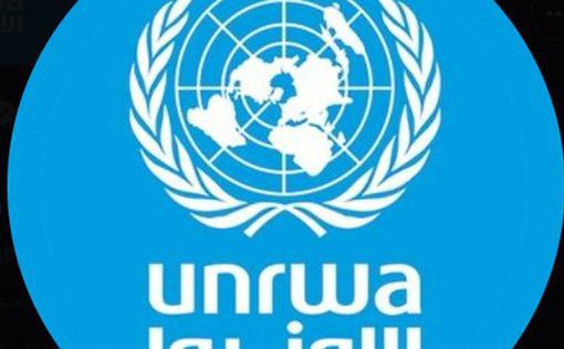 Глава UNRWA: агентству грозит "гибель"