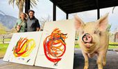 Картины свиньи-художницы Пигкассо продали за $1 млн. Фото, видео | Фото 19