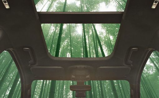 Ford создаст бамбуковый автомобиль