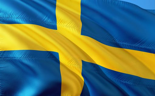 Крупнейший пакет военной помощи: Швеция дает Украине самолеты и БТРы | Фото: pixabay.com