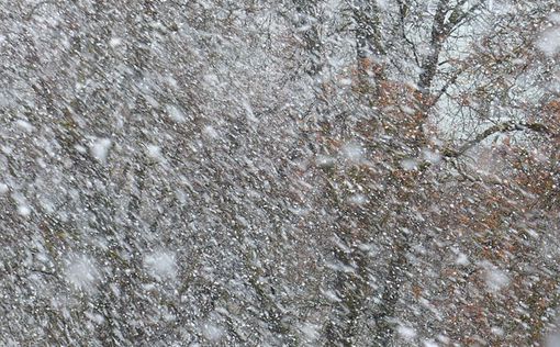 Снегопады и сильный ветер: семь областей Украины под угрозой