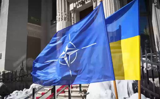 В Україні будуть вдячні за введення військ НАТО, - прем'єр