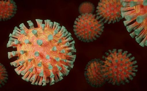 Ученые нашли новый, более заразный вариант коронавируса