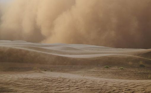 ОАЭ накрыли песчаные бури (видео)